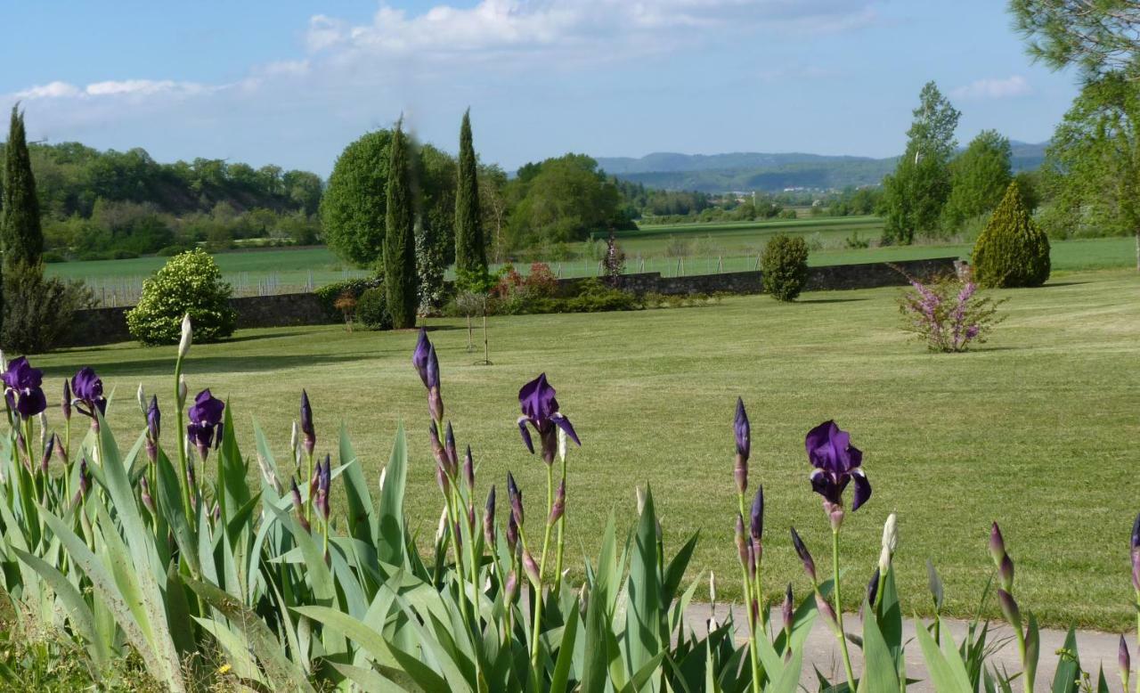 Gites Chateau De La Selve Grospierres Luaran gambar