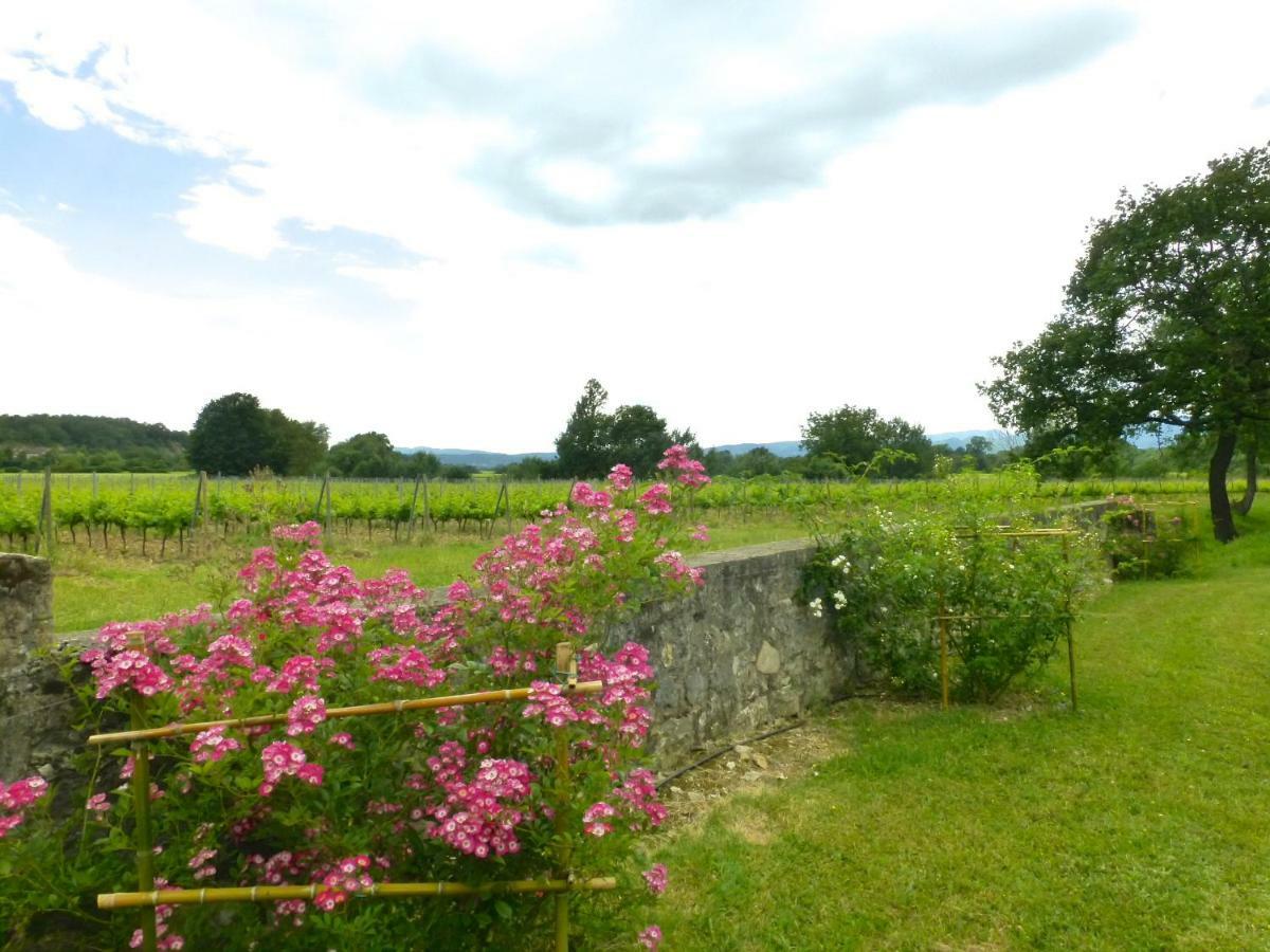 Gites Chateau De La Selve Grospierres Luaran gambar